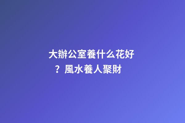大辦公室養什么花好？風水養人聚財